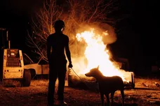 Image via Mike Dimes