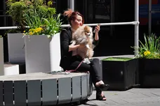 Cindy Ord / Staff / Getty Images