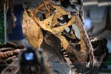 Win McNamee/Getty Images