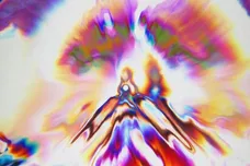 Tunji Ige/Proper Enjoyment