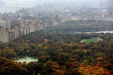 Mario Tama / Staff / Getty Images