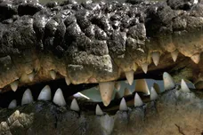 Ian Waldie/Getty Images