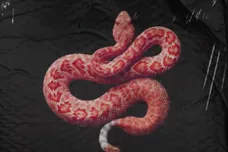 2020 Free Nation / Cinematic Music Group