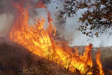 Sandy Huffaker/Getty Images