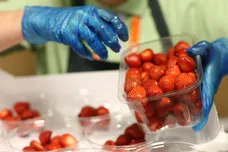 Carl Court/Getty Images