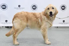 Jamie McCarthy/Getty Images