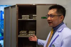 Lauren DeCicca/Getty Images