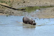 Richard Heathcote/ gettyimages
