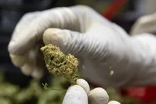 Luke Dray/Getty Images