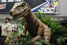 Daniel Zuchnik /gettyimages