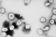 Getty Images / Handout / Getty Images