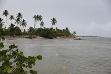 Joe Raedle / Getty Images