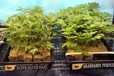 Bob Riha, Jr./Getty Images