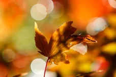 Dan Istitene / Getty Images