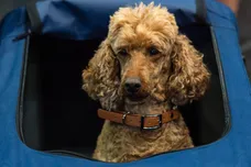 Jens Schlueter/Getty Images