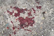 Scott Olson/Getty Images