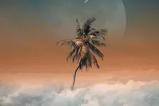 Image via ShaqIsDope