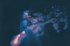 Tee Grizzley/Spotify