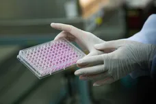 Lauren DeCicca/Getty Images