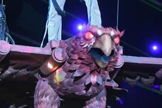 Ian Gavan/Getty Images