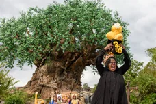 Todd Anderson/Disney Resorts via Getty Images