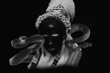 2020 Loyalty Or Death