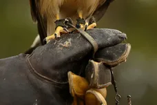 mark Kolbe / gettyimages