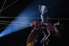 Dave J Hogan/Dave J Hogan/Getty Images