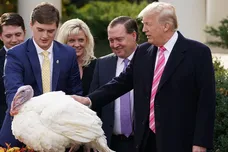 Chip Somodevilla/Getty Images