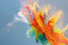 88rising Records/12tone Music LLC.