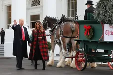 Mark Wilson/Getty Images