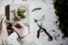 Uriel Sinai/Getty Images