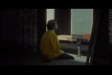 Saba/Pivot Gang, LLC