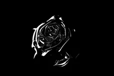 2020 Republic Records