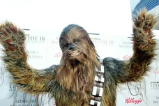 Frederick M. Brown/Getty Images