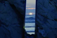 Rexx Life Raj/Spotify