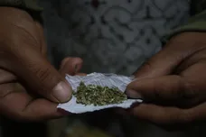 Raul Sifuentes / Getty Images