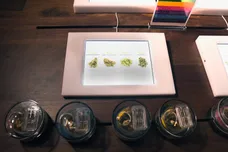 Bryan Steffy/ Getty Images