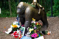 john Sommers II/ gettyimages