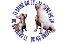 Fivio Foreign/Columbia