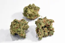 Ethan Miller/Getty Images