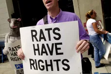 Chris Hondros / Staff / Getty Images