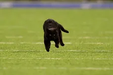 Emilee Chinn/Getty Images