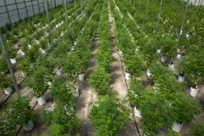 Drew Angerer/Getty Images