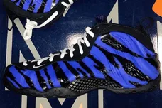 Image Via Memphis_MBB