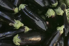 David Silverman/Getty Images