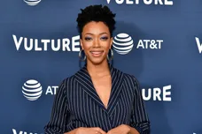 Dia Dipasupil/Getty Images for Vulture Festival