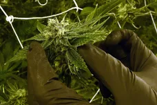 Ethan Miller/Getty Images