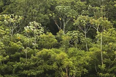 Mario Tama/Getty Images