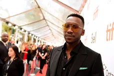 Kevin Winter/Getty Images for TIFF)